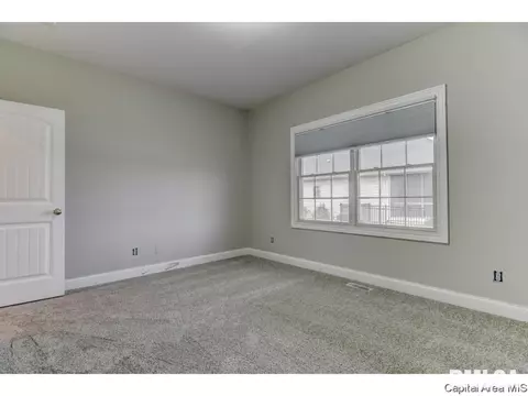 439 Maggie, Springfield, IL 62711 photo 14