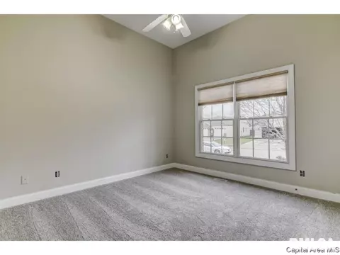 439 Maggie, Springfield, IL 62711 photo 16