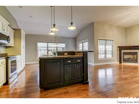 439 Maggie, Springfield, IL 62711 photo 10