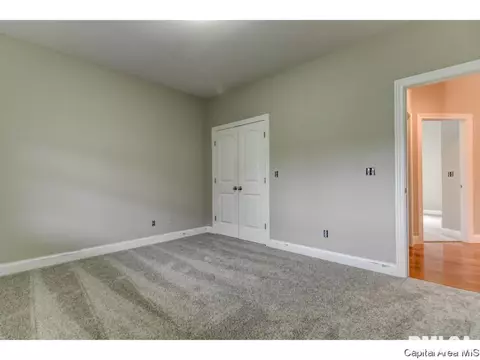 439 Maggie, Springfield, IL 62711 photo 13