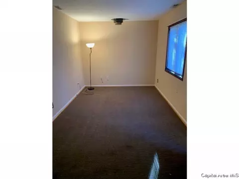 1732 N 20th St, Springfield, IL 62702 photo 4