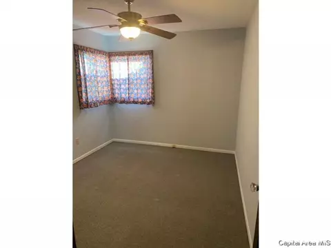 1732 N 20th St, Springfield, IL 62702 photo 5