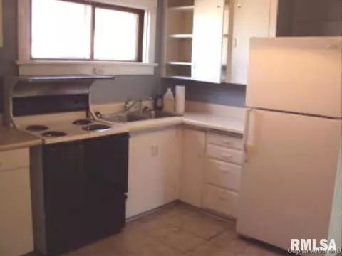 306 N Yates St, Alpha, IL 61413 photo 3