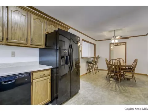 1201 Mildred Ct, Springfield, IL 62712 photo 13