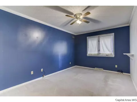 1201 Mildred Ct, Springfield, IL 62712 photo 20