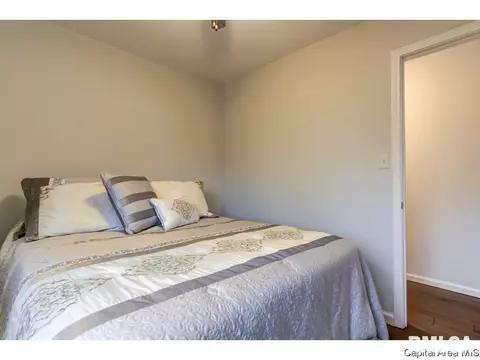 204 Walnut Valley Dr, Springfield, IL 62707 photo 20