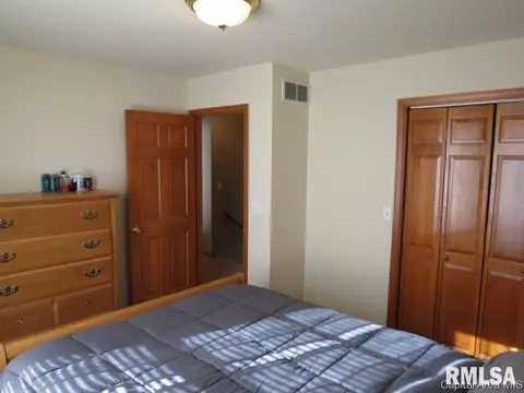 3804 Bristlecone Dr, Springfield, IL 62712 photo 18