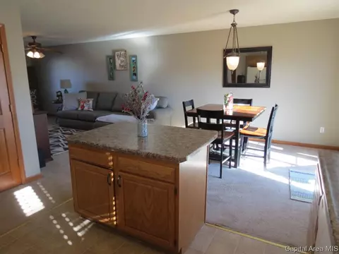 3804 Bristlecone Dr, Springfield, IL 62712 photo 5