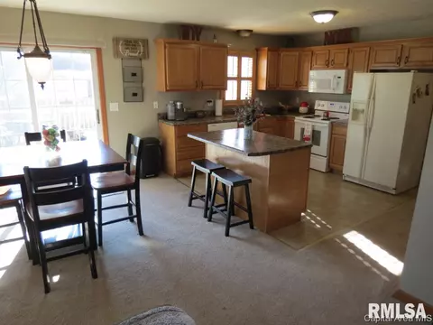 3804 Bristlecone Dr, Springfield, IL 62712 photo 4