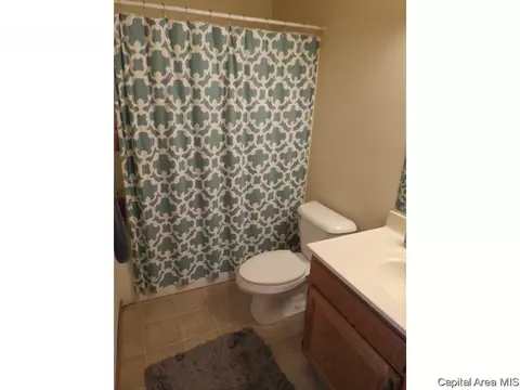 3804 Bristlecone Dr, Springfield, IL 62712 photo 13