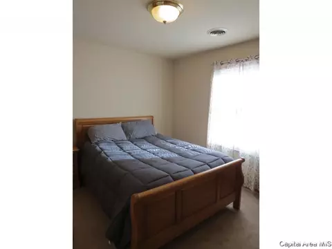 3804 Bristlecone Dr, Springfield, IL 62712 photo 17