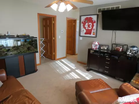 3804 Bristlecone Dr, Springfield, IL 62712 photo 8