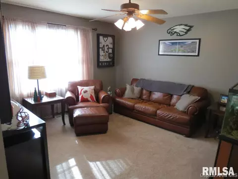 3804 Bristlecone Dr, Springfield, IL 62712 photo 7