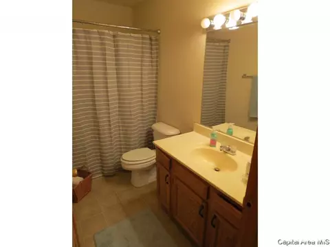 3804 Bristlecone Dr, Springfield, IL 62712 photo 16