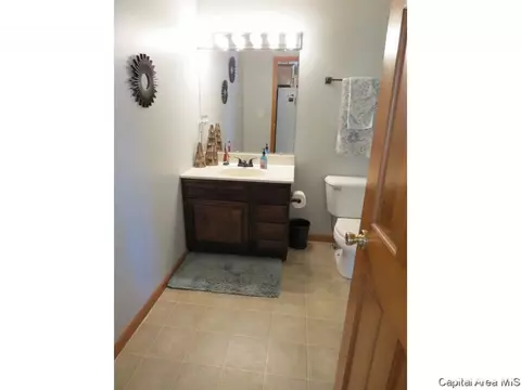 3804 Bristlecone Dr, Springfield, IL 62712 photo 10
