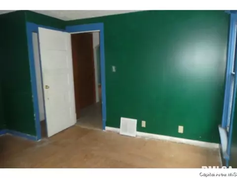 1605 S Pasfield St, Springfield, IL 62704 photo 10