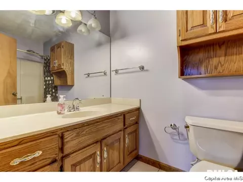 208 Old Tippecanoe Dr, Springfield, IL 62711 photo 25