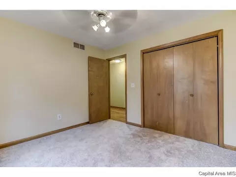 208 Old Tippecanoe Dr, Springfield, IL 62711 photo 18