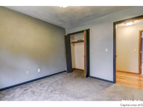 208 Old Tippecanoe Dr, Springfield, IL 62711 photo 20