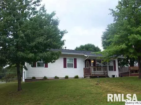 2705 Ray Ct, Fowler, IL 62338 photo 1