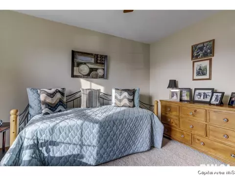 2905 Ocala Ln, Springfield, IL 62707 photo 24