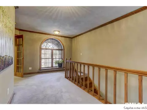 2121 Timberview Dr, Springfield, IL 62702 photo 18