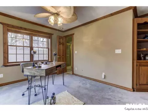 2121 Timberview Dr, Springfield, IL 62702 photo 20
