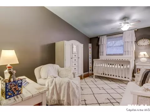 2315 Parkview, Springfield, IL 62704 photo 24