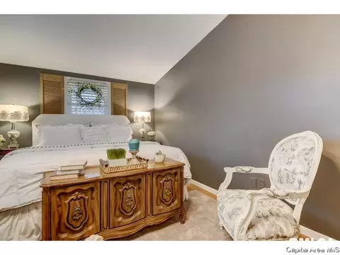 2315 Parkview, Springfield, IL 62704 photo 30