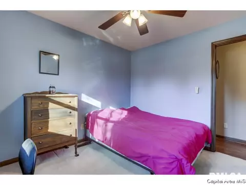 2001 Stockton, Springfield, IL 62703 photo 13