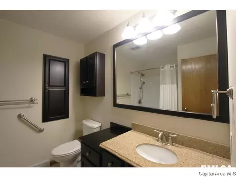 11 Beacon Ridge Dr, Springfield, IL 62711 photo 25