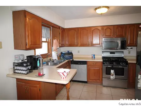 13080 Hickory Hills Rd, Athens, IL 62613 photo 4