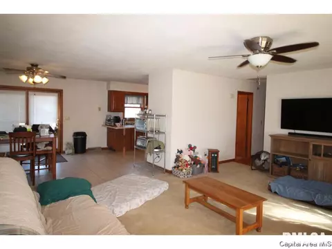 13080 Hickory Hills Rd, Athens, IL 62613 photo 8