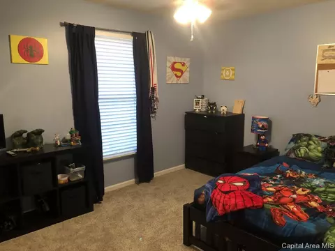 3809 Cranleigh Blvd, Springfield, IL 62712 photo 19