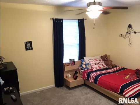 3809 Cranleigh Blvd, Springfield, IL 62712 photo 18