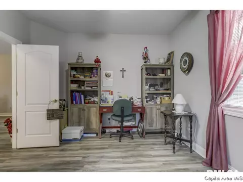 814 Colorado Ct, Springfield, IL 62711 photo 28