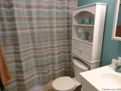 2116 N 22nd St, Springfield, IL 62702 photo 11