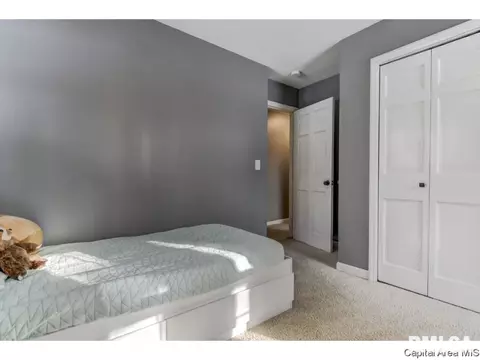 1 Ottowood, Springfield, IL 62711 photo 21