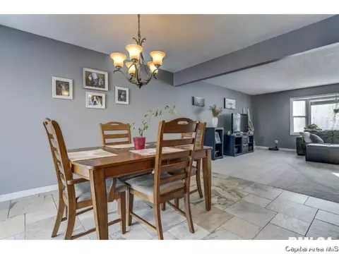1 Ottowood, Springfield, IL 62711 photo 10