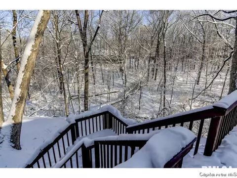 1 Ottowood, Springfield, IL 62711 photo 34