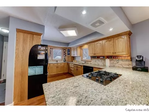 4546 Spaulding Orchard Rd, Springfield, IL 62711 photo 7