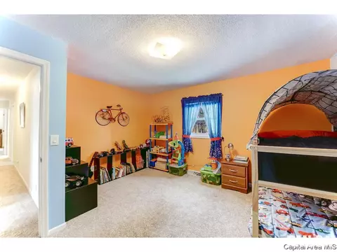 4546 Spaulding Orchard Rd, Springfield, IL 62711 photo 25
