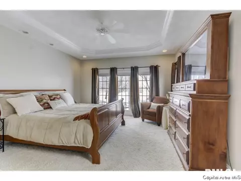 7304 Wentworth, Springfield, IL 62711 photo 20