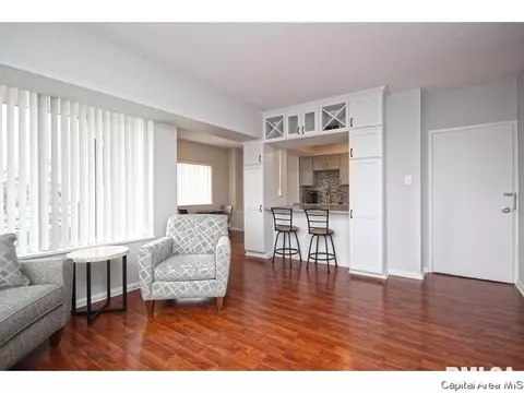 718 S 7th #307, Springfield, IL 62703 photo 7
