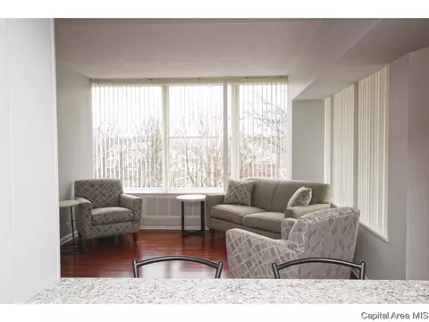 718 S 7th #307, Springfield, IL 62703 photo 10