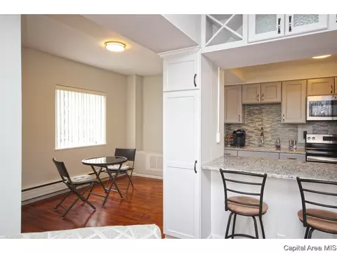 718 S 7th #307, Springfield, IL 62703 photo 11