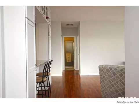 718 S 7th #307, Springfield, IL 62703 photo 6