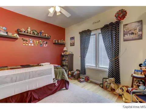 529 Willows Ave, Chatham, IL 62629 photo 27