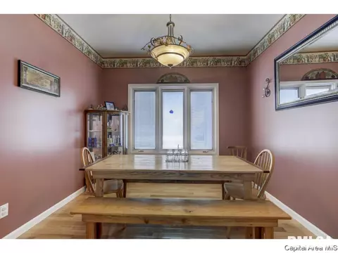 529 Willows Ave, Chatham, IL 62629 photo 15