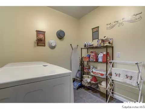 529 Willows Ave, Chatham, IL 62629 photo 16